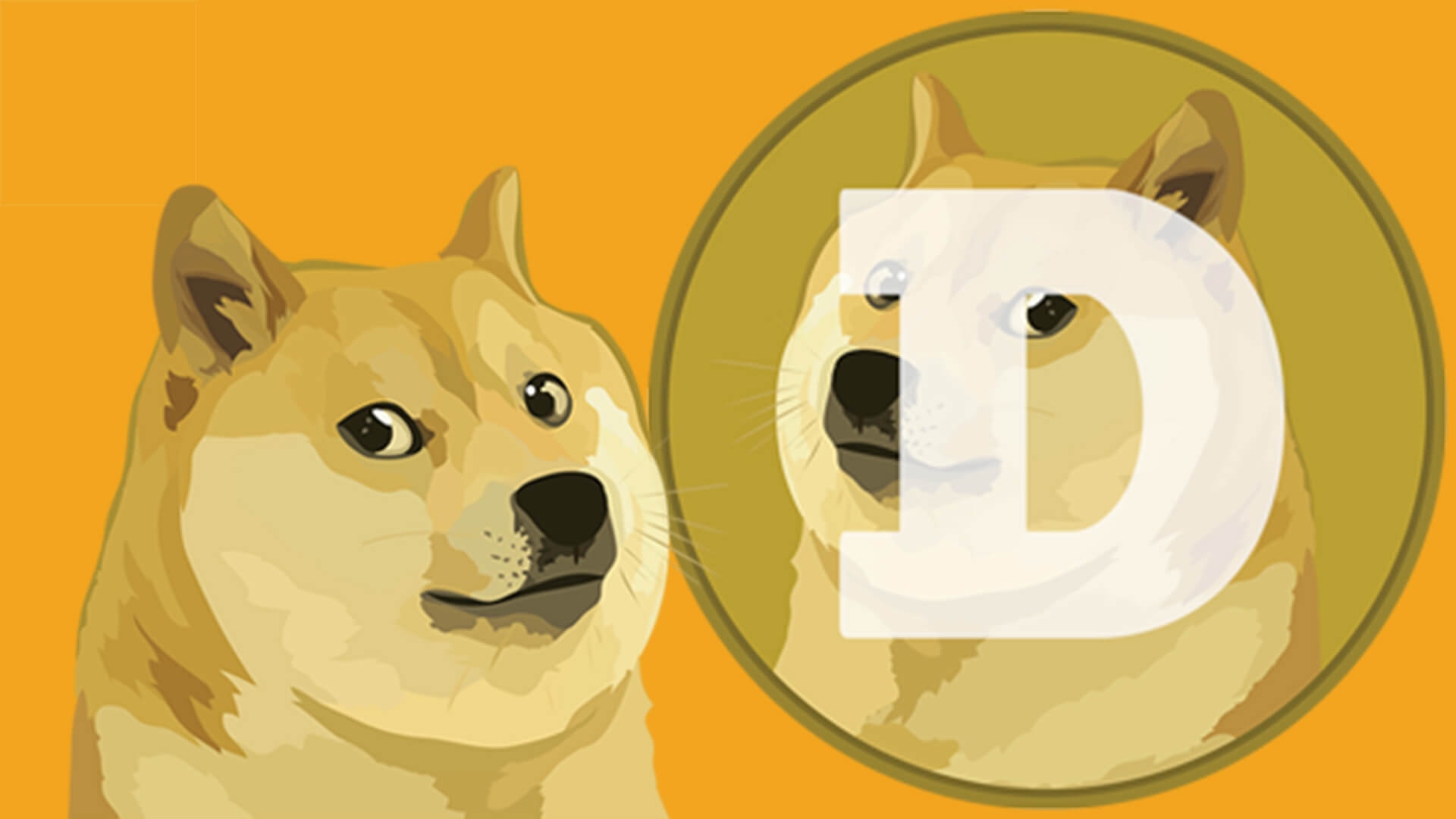 Complete guide about Dogecoin